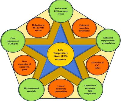 Physio-biochemical and molecular stress regulators and their crosstalk for low-temperature stress responses in fruit crops: A review
